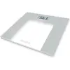 Image de Pèse-personne électronique TERRAILLON TP 1000 GLASS