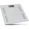 Image de Terraillon Bodyconnect - Gris