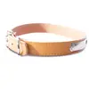 Image de Collier pour chien en cuir bavette Martin Sellier Rive Beige 10/30 cm 3002218