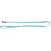 Image de Laisse pour chien nylon Martin Sellier Flash Bleu 10x100 cm 3004260