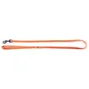 Image de Laisse pour chien nylon Martin Sellier Flash Orange 10x100 cm 3004262
