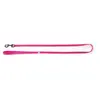 Image de Laisse pour chien nylon Martin Sellier Flash Rose 10x100 cm 3004266