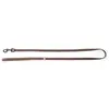 Image de Laisse pour chien nylon Martin Sellier Flash Marron 10x100 cm 3004267