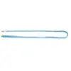 Image de Laisse pour chien nylon Martin Sellier Tub Bleu 10/120 cm 3004788
