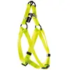 Image de Harnais pour chien classic nylon Martin Sellier Baud S Vert 15x30/50 cm 3005222