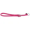Image de Collier pour chien nylon éducation rond classique Martin Sellier Rose TU 3005284