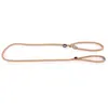 Image de Laisse pour chien classic educatif nylon Martin Sellier Beige TU 3005523