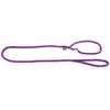 Image de Laisse pour chien classic educatif nylon Martin Sellier Violet TU 3005529