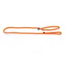 Image de Laisse pour chien classic educatif nylon Martin Sellier Orange TU 3005531