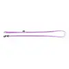 Image de Laisse pour chien classic nylon Martin Sellier XS Rose 10/120 cm 3005612