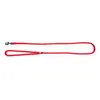 Image de Laisse pour chien rond classic nylon Martin Sellier Rouge 120 cm x 9 mm 3005855