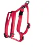 Image de Harnais pour chien réglable classic nylon Martin Sellier XS Rouge 10x25/35 cm 3006171