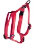 Image de Harnais pour chien réglable classic nylon Martin Sellier S Rouge 16x35/50 cm 3006188