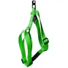 Image de Martin Sellier Harnais - Vert 35/50 cm