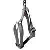 Image de Martin Sellier Harnais 35/50 cm - Noir