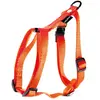 Image de Harnais pour chien réglable classic nylon Martin Sellier XL Orange 40x90/110 cm 3006239