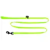 Image de Laisse pour chien classic nylon Martin Sellier XS Vert 10/120 cm 3006249