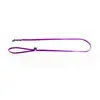 Image de Laisse pour chien classic nylon Martin Sellier XS Violet 10/120 cm 3006253