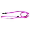 Image de Laisse pour chien classic nylon Martin Sellier XS Rose 10/120 cm 3006255