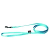 Image de Laisse pour chien classic nylon Martin Sellier XS Bleu 10/120 cm 3006256