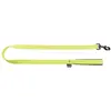 Image de Laisse pour chien confort classic nylon Martin Sellier S Vert 16/120 cm 3006258