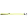 Image de Laisse pour chien classic double nylon Martin Sellier L Vert 25/60 cm 3006279