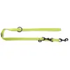 Image de Laisse pour chien classic nylon Martin Sellier 3P Vert 20/200 cm 3006567