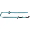 Image de Laisse pour chien classic nylon Martin Sellier 3P Bleu 20/200 cm 3006581