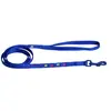Image de Laisse pour chien nylon Martin Sellier Bleu 10x120 cm 3006644