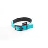 Image de MARTIN SELLIER-Collier droit Confort pour chien coloris turquoise - 1,6x35 cm