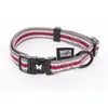 Image de Collier pour chien trio réglable Martin Sellier M Gris 20x40/55 cm 3007276
