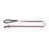 Image de Laisse pour chien trio nylon Martin Sellier S Gris 16/100 cm 3007301