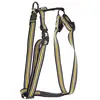 Image de Harnais pour chien trio classic nylon Martin Sellier S Noir 16x35/50 cm 3007333