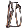 Image de Harnais pour chien trio réglable nylon Martin Sellier L Orange 25x70/90 cm 3007355