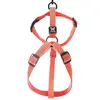 Image de Harnais pour chien réglable nylon Martin Sellier XS Orange 10x25/35 cm 3007382