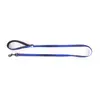 Image de Laisse pour chien nylon Martin Sellier S Bleu 16/100 cm 3007635