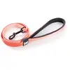 Image de Laisse pour chien nylon Martin Sellier S Orange 16/100 cm 3007637