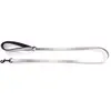 Image de Laisse pour chien nylon Martin Sellier S Gris 16/100 cm 3007642