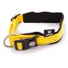 Image de MARTIN SELLIER-Collier Chien   Martin Sellier Collier Neo+ jaune   1,5 x 30 à 35 cm