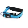 Image de MARTIN SELLIER-Collier Chien   Martin Sellier Collier Neo+ bleu   1,5 x 30 à 35 cm