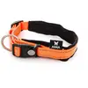 Image de MARTIN SELLIER-Collier Chien   Martin Sellier Collier Neo+ orange   1,5 x 30 à 35 cm