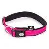 Image de MARTIN SELLIER-Collier Neo+ rose pour chien 2,5x55/60 cm