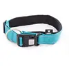 Image de MARTIN SELLIER-Collier Chien - Martin Sellier Collier Neo+ Bleu - 50 / 70 x 4 cm