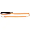 Image de Laisse pour chien neoprène nylon Martin Sellier S Orange 15/100 cm 3008067
