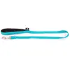 Image de Laisse pour chien neoprène nylon Martin Sellier L Bleu 25/100 3008090