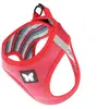Image de Harnais en maille pour chien Martin Sellier Rouge 3XS 3008552