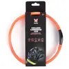 Image de Collier pour chien tube LED Martin Sellier Orange 2,5x65 cm 3009854