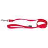 Image de Laisse pour chien trio uni Martin Sellier S Rouge 16/120 cm 3000658