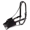 Image de Muselière pour chien policière en cuir Martin Sellier Noir Taille 5 3001051