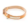 Image de Collier pour chien en cuir avec plaque Martin Sellier Beige 16/40 cm 3005672